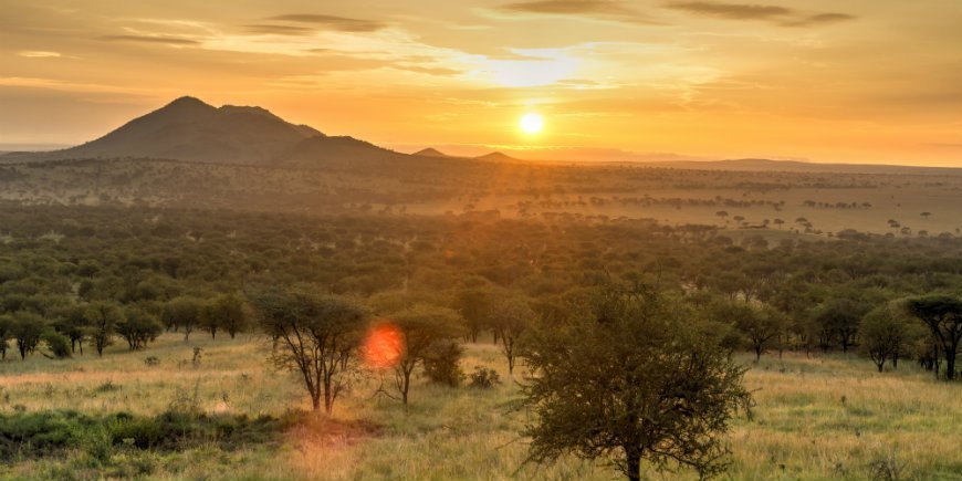 zon over serengeti