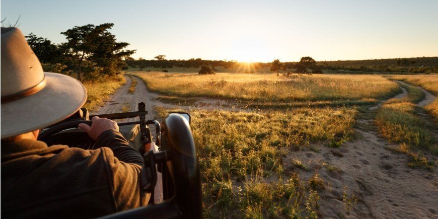Safari in Sabi Sands wildreservaat