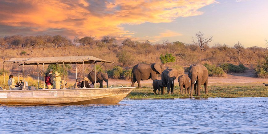Boot varen langs een groep olifanten op de Chobe rivier in Botswana