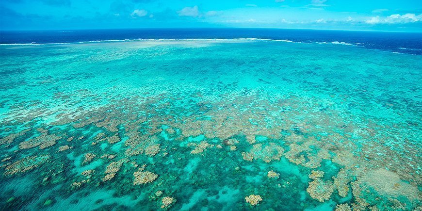 Uitzicht op het Groot Barrièrerif bij Cairns, Australië