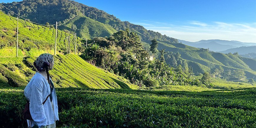 Jonge vrouw aan de wandel in Sungai Palas Plantation in Cameron Highlands, Maleisië