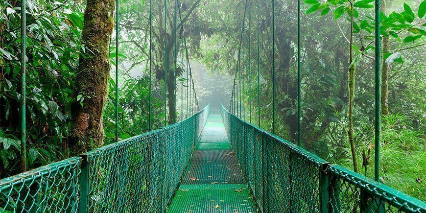 Mist omringt hangbrug in Monteverde, Costa Rica