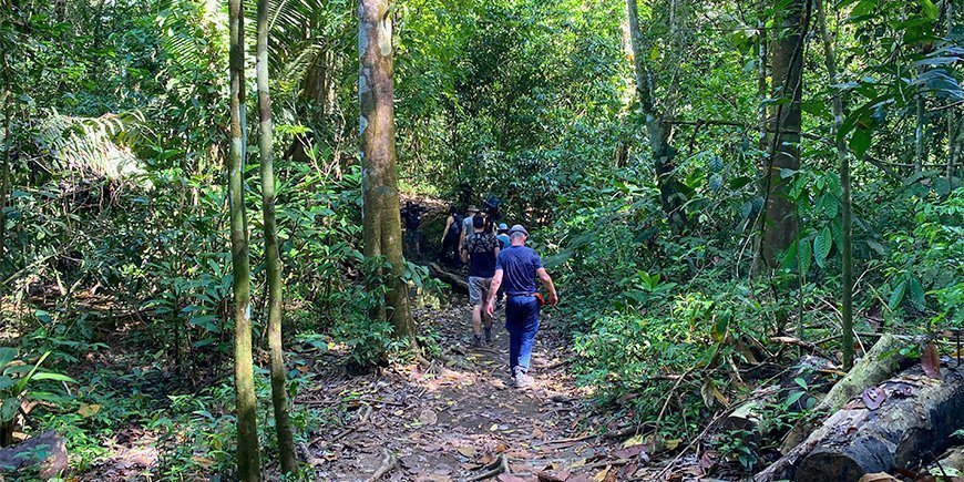Een groep mensen aan het wandelen in het Corcovado Nationaal Park in Costa Rica