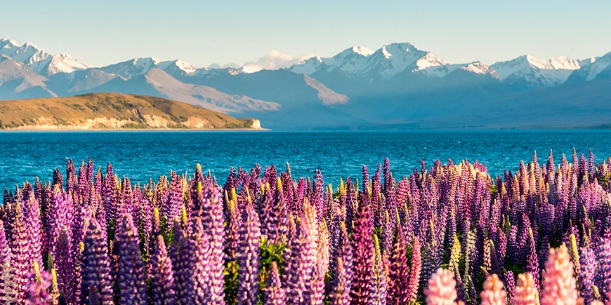 Lentekleuren bij Lake Tekapo in Nieuw-Zeeland