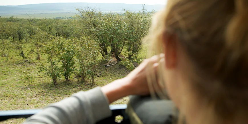 Vrouw neemt foto van cheeta in Masai Mara