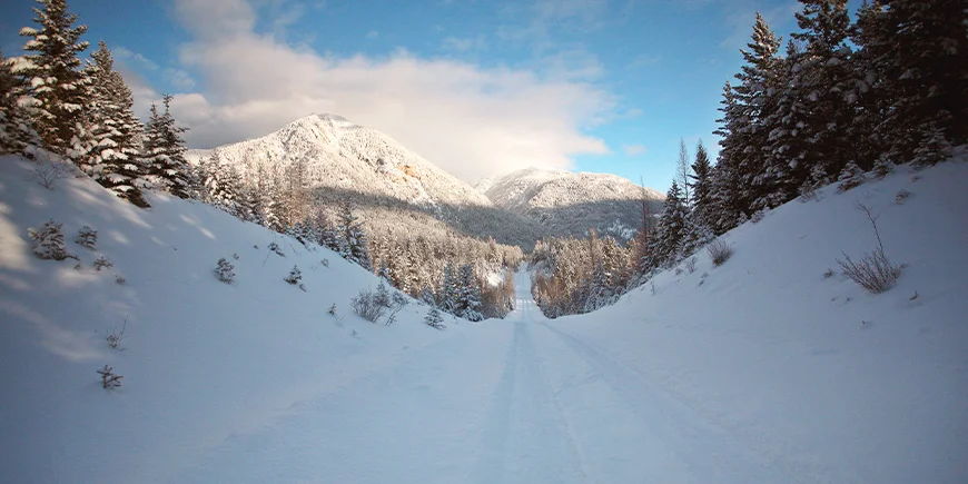 Winterlandschappen in de Rocky Mountains