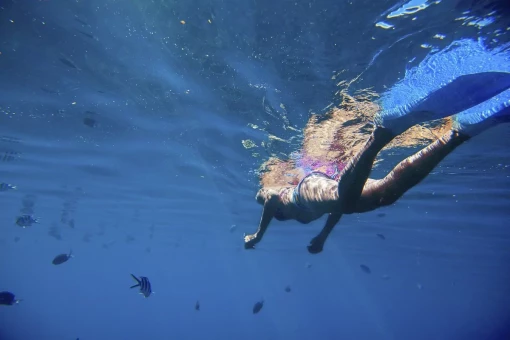 Zwem in de Indische Oceaan