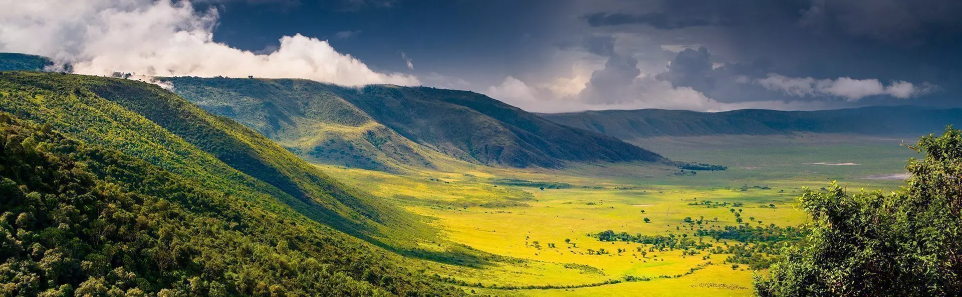 Bewolkte dag in de Ngorongoro krater in Tanzania