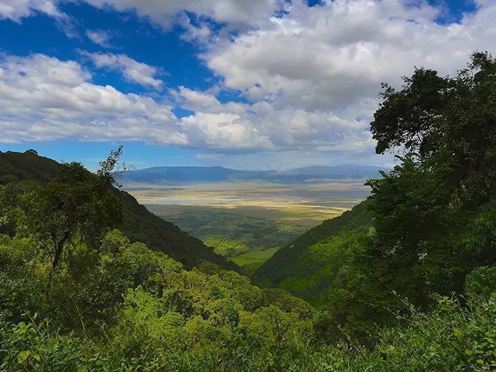 Overzichtsfoto van Ngorongoro in Tanzania