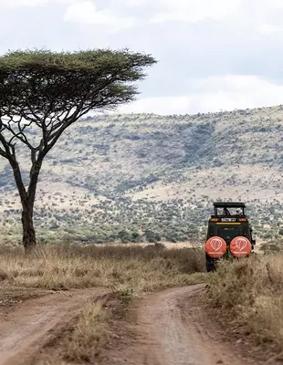 Safariwagen onder een boom in Tanzania