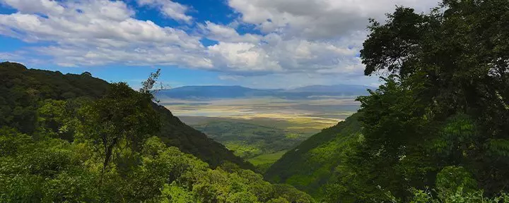 Overzichtsfoto van Ngorongoro in Tanzania
