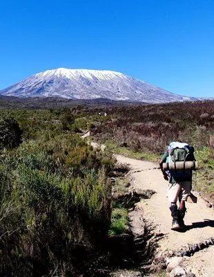 Een trekker loopt door het heidelandschap op weg naar de Kilimanjaro