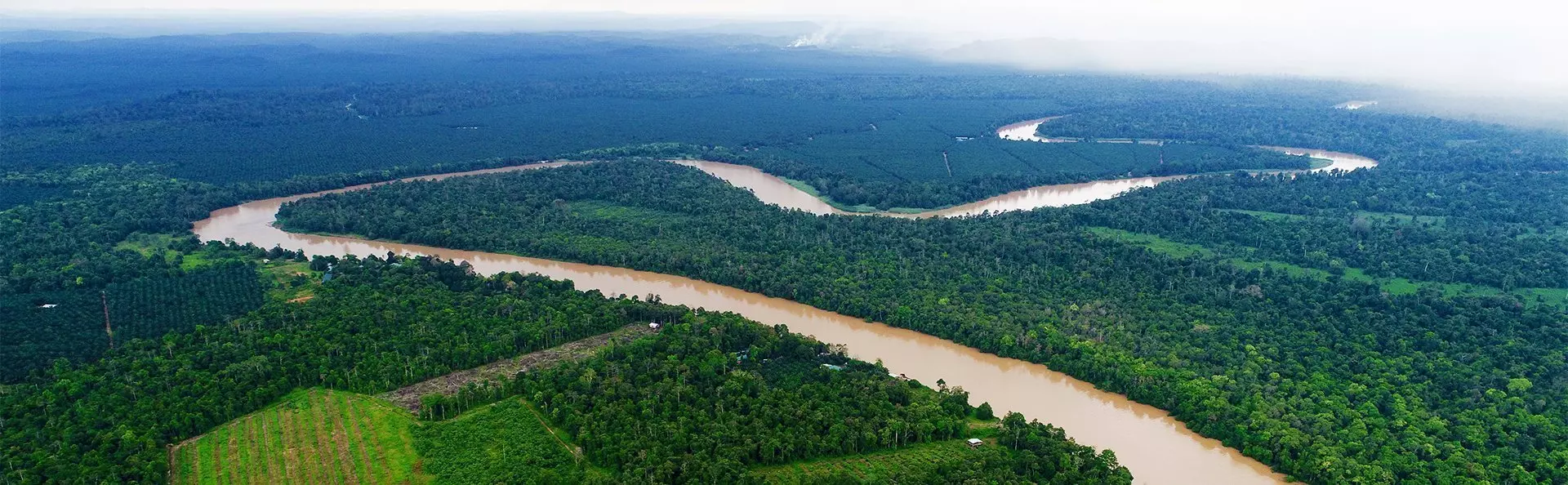 Uitzicht op de Kinabatangan rivier in Borneo
